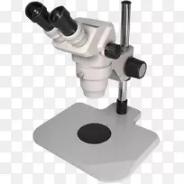 立体显微镜-立体显微镜