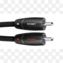 扬声器、电线、数字音频、电缆、音频信号-悉尼海港大桥