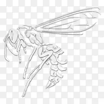 昆虫蝴蝶线艺术手指素描昆虫