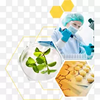 医学研究分子生物学科学家医学诊断-发现吉尔伯特