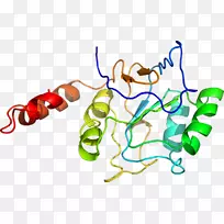 线点生物剪贴画线