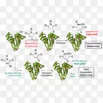 开花植物线创意字体设计