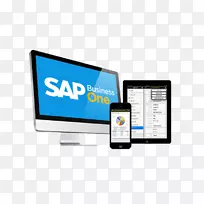 SAP业务一企业资源规划sap se sap erp-业务