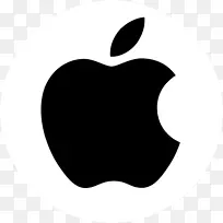 苹果电动汽车项目标识-苹果