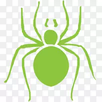 蟑螂灭虫剂-棕色隐翅蜘蛛