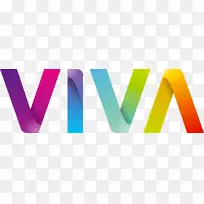 Viva科技创业公司艺术总监-viva技术