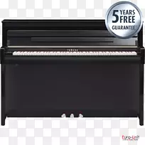 数字钢琴电子琴琵琶音乐键盘