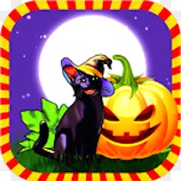 胡须黑猫万圣节猫