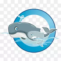 海豚、鲨鱼、海豚、海洋生物、剪贴画.游泳浮子