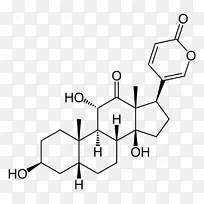 硫酸去氢表雄酮
