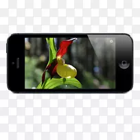 Smartphone Caviglia ag移动电话摄影-智能手机