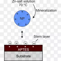 电荷表面电荷电场等电点双层-其它