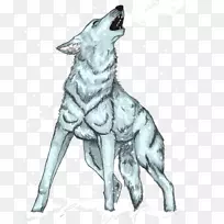 萨鲁士狼狗捷克斯洛伐克狼狗品种-嚎叫狼