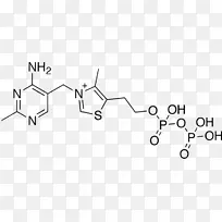 硫胺素焦磷酸维生素药物离子键合