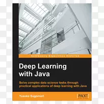 Java深度学习要点深度学习算法机器学习-深度学习