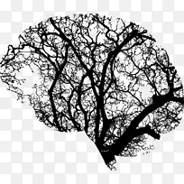 脑损伤树脑损伤剪贴画深层次学习
