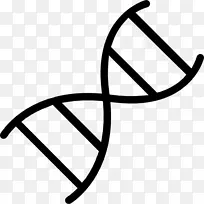 DNA载体遗传学基因组载体