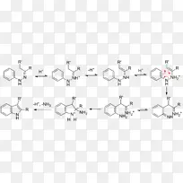 线点角白数化学合成