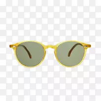 太阳镜眼镜佩带吉莉安霍兹曼镜头-醋酸乙烯酯