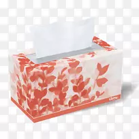 纸盒面部组织包装和标签盒