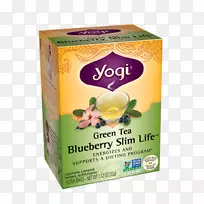 绿茶泡茶袋蓝莓茶