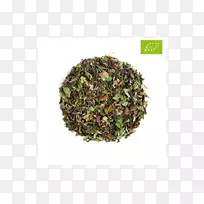 尼尔吉里茶参茶植物白木丹