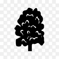 白叶黑m字型树