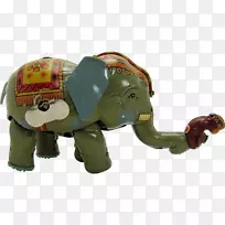 印度象非洲象-印度