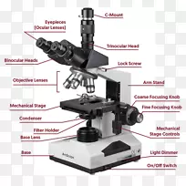 光相差显微镜，光学显微镜，暗场显微镜，显微镜