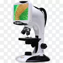数码显微镜照相机显微镜图像处理显微镜幻灯片数字显微镜