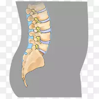 颈椎前路椎间盘切除融合术微创脊柱手术-梅菲尔德脊柱手术中心