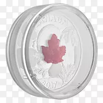 银圈-加拿大皇家造币厂