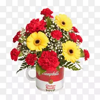 特兰士瓦雏菊花卉设计斯蒂芬森的花&礼物剪花束-花束