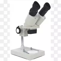 立体声显微镜墨西哥光学显微镜立体声显微镜