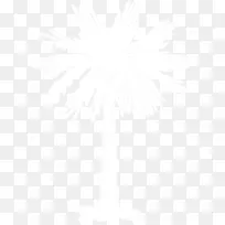 南卡罗莱纳州白树州旗线-沙巴棕榈