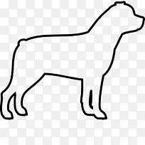 犬种拉布拉多猎犬纽芬兰犬罗威勒犬牙