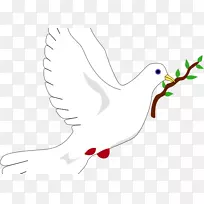 鸽子象征橄榄枝象征