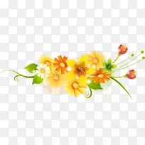 花卉设计黄花摄影.花