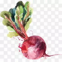 水彩画甜菜根画
