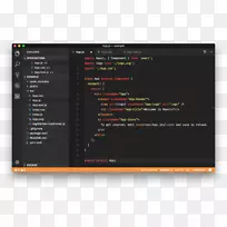 Visual studio代码调试颜色方案断点调试器-gitHub