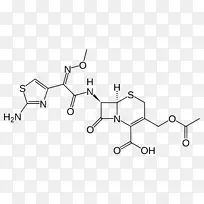 头孢噻肟阿莫西林β-内酰胺类抗生素头孢菌素头孢他啶