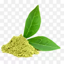 绿茶抹茶膳食补充剂儿茶素没食子酸酯绿茶