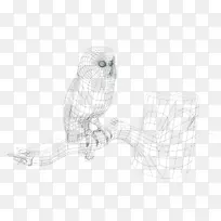 猫头鹰线艺术素描-猫头鹰