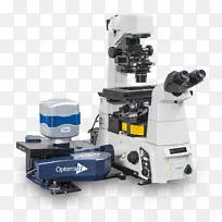 显微镜共聚焦显微镜活细胞成像研究光学显微镜