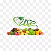 水果营养食用蔬菜USC咨询小组，有限责任公司-以植物为基础的饮食