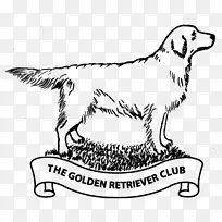 犬种金毛猎犬运动团体拉布拉多猎犬金毛猎犬