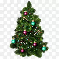 圣诞树松木剪贴画-圣诞树