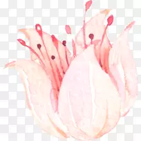 粉红剪贴画-花