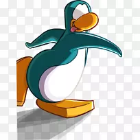 企鹅水鸟俱乐部-企鹅