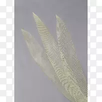 羽毛材料-羽毛